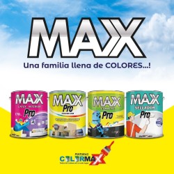Pintura max pro